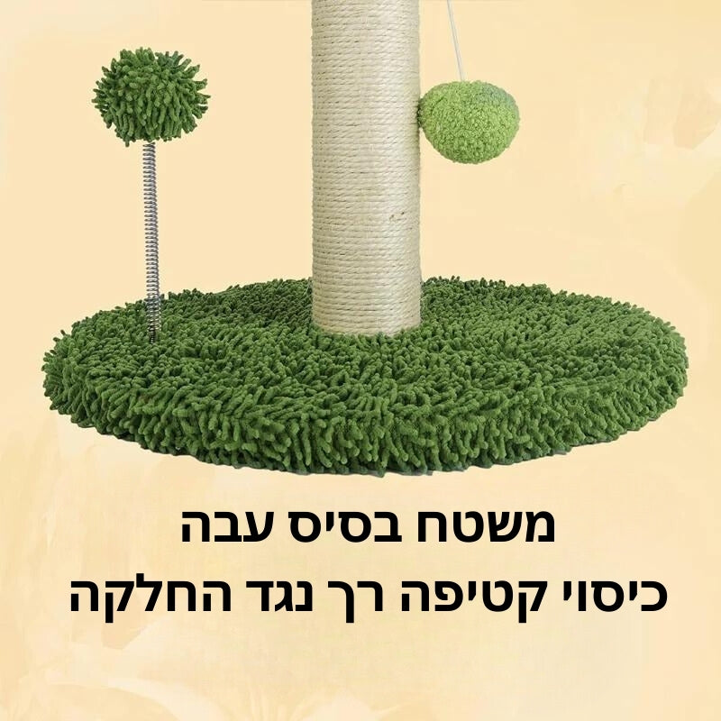 משטח מתקן גירוד